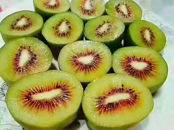 红心红阳猕猴桃