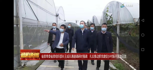 通道嚞翔农产品开发有限公司,通道水蜜桃销售,红心火龙果销售,阳光玫瑰销售,火龙果苗哪里好,通道嚞翔,嚞翔果园 通道嚞翔农产品开发有限公司,通道水蜜桃销售,红心火龙果销售,阳光玫瑰销售,火龙果苗哪里好,通道嚞翔,嚞翔果园