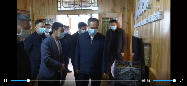 通道嚞翔农产品开发有限公司,通道水蜜桃销售,红心火龙果销售,阳光玫瑰销售,火龙果苗哪里好,通道嚞翔,嚞翔果园