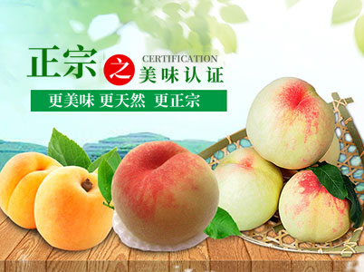 通道嚞翔农产品开发有限公司_通道水蜜桃销售|红心火龙果销售|阳光玫瑰销售|火龙果苗哪里好